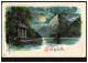 Schweiz-AK Tellsplatte, SISIKON 29.7.1901 Nach Lage / Deutschland - Autres & Non Classés