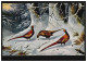 Tiere-AK Vögel - Drei Fasane In Winterlandschaft, Ungebraucht, Um 1910  - Vogels