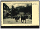 Foto-AK Kurort Wildemann (Oberharz): Rinderherde Im Ort, Ungebraucht, Um 1930 - Other & Unclassified