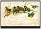 Tiere-AK Vögel: Blaumeisen-Ansammlung, RAVENSBURG BAHNHOF 7.8.1901 - Vögel