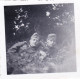 Petite Photo Originale - 1941 - Guerre 1939/45 - Kunze Rast - Soldats Allemands Au Repos - Oorlog, Militair