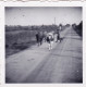 Petite Photo Originale - 1941 - Guerre 1939/45 - Strasse Nach LUCON - Avec Les Vaches Sur La Route De Lucon - Guerre, Militaire