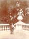 Photo Originale - Année 1908 - PARIS - Jardin Des Tuileries - Lugares