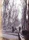 Photo Originale - Année 1895 - DIGNE Les BAINS ( Alpes De Haute Provence ) Attelage A L'entrée De La Ville - Lugares