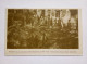 Delcampe - Poland Tarnów Lot Of 11 Postcards Published W. Spiro Tarnów 1915 - Polen