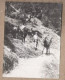 PHOTOGRAPHIE AUTRICHE - TYROL - WASSERTRÄGER Im TIROL - TB PLAN Randonneurs Avec Montures MULETS 1928 - Autres & Non Classés