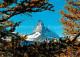 13164834 Matterhorn VS Zermatt Matterhorn VS - Otros & Sin Clasificación