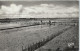 [85] Vendée >  La Tranche Sur Mer  Le Parc A Huitres - La Tranche Sur Mer