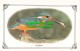 R526149 Kingfisher. Colourmaster International. Cameo. Precision. WB5 - Monde