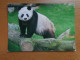 Zoo Van Antwerpen - Dierenpark Planckendael / Panda -> Beschreven - Ours