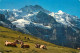 13130053 Jungfrau BE Panorama Jungfrau BE - Other & Unclassified