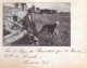 WW1 Photo De 5 Militaires Américain Sur La Plage De La Baule En1917 - Photo De Mle De Rovak à Pornichet (36)_PHOT104 A&b - Guerra, Militares