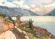 13114822 St Saphorin Lavaux Panorama Alpen Kuenstlerkarte St Saphorin Lavaux - Sonstige & Ohne Zuordnung