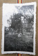 Delcampe - Lot De 6 Photo 55 RANZIERES Anime St Mihiel Troyon Voiture Garde Chasse Ceuillette - Lieux