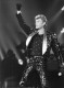 JOHNNY HALLYDAY 1984 ZENITH A LA GENERALE DU SPECTACLE PHOTO DE PRESSE ORIGINALE 24X18CM R1 - Famous People