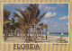 AK 215314 USA - Florida - Tranquil Beach - "stripes Are Not On The Card" - Key West & The Keys