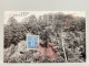 北陸靈刹 那谷寺境內巖山 石川那谷消印 Mountain Of Natadera Temple Ishikawa, Stamped Special Postmark  , JAPAN JAPON POSTCARD - Andere & Zonder Classificatie