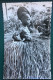 Jeune Garçon En Costume Rituel, Lib Pociello, N° 958 - Elfenbeinküste