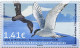 Timbre TAAF N° 820/821 Neuf** MNH Luxe Oiseaux Des Régions Arctiques Et Antarctiques. - Unused Stamps