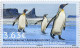 Timbre TAAF N° 820/821 Neuf** MNH Luxe Oiseaux Des Régions Arctiques Et Antarctiques. - Unused Stamps