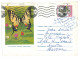 IP 61 - 0411t-a Butterfly, SCARCE SWALLOWTAIL, Romania - Stationery ( Big Fixed Stamp ) - Used - 1961 - Enteros Postales