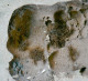 Mineral - Breislakite ( Montalto Di Castro, Grosseto, Italia) - Lot.1056 - Minerali
