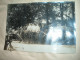 Delcampe - 31 AURIAC SUR VENDINELLE Album Souvenir Cavalcade 1927 Photographe Merlin Toulouse  42 Photos   42scans - Altri & Non Classificati
