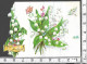 CARTE POP-UP PHOTOCHROM 71175 PORTE BONHEUR - 1ER MAI / TRES JOLI BOUQUET DE MUGUET - Andere & Zonder Classificatie