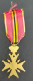 Médaille Fédération Nationale Des Combattants Belgique - Belgium