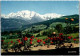 Panorama Sur La Massif Du MONT BLANC. -    -    Non Circulée. - Chamonix-Mont-Blanc