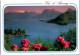 LAC D'ANNECY. -  La Baie De Talloires.      Non Circulée. - Sonstige & Ohne Zuordnung