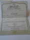 D202253  Gems Gallery -Certificate Of Guarantee - Thailand - Sonstige & Ohne Zuordnung