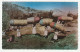 HAITI - Marchandes De Paniers - CPSM Real Photo Postcard - Haïti