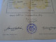 D202257   Elementary School Certificate, Budapest 1941  Hungary - Diploma & School Reports