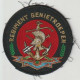 Patch-badge Militair Regiment Genietroepen (NL) Ministerie Van Defensie - Heer