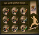 Botswana 2010 Football Soccer World Cup Sheetlet (colour Spot On Back) See Scan MNH - 2010 – Afrique Du Sud