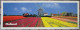 NETHERLANDS HOLLAND WINDMILL FLOWERS KARTE XL POSTCARD ANSICHTSKARTE CARTE POSTALE CARTOLINA POSTKARTE CARD - Other & Unclassified