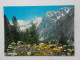 Delcampe - LES ALPES (Savoie-Haute Savoie-Hautes Alpes-Alpes De Haute Provence) Lots De 67 Cartes A 0.20 Euros L'une - Other & Unclassified