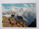 Delcampe - LES ALPES (Savoie-Haute Savoie-Hautes Alpes-Alpes De Haute Provence) Lots De 67 Cartes A 0.20 Euros L'une - Other & Unclassified