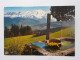 Delcampe - LES ALPES (Savoie-Haute Savoie-Hautes Alpes-Alpes De Haute Provence) Lots De 67 Cartes A 0.20 Euros L'une - Other & Unclassified