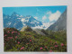 Delcampe - LES ALPES (Savoie-Haute Savoie-Hautes Alpes-Alpes De Haute Provence) Lots De 67 Cartes A 0.20 Euros L'une - Other & Unclassified