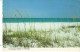 A Tranquile Beach In Florida Ngl #C9251 - Autres & Non Classés