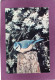 OISEAUX  Mésange Bleue  Photo Atlas Fatras   Édité Par Le Comité National De L'Enfance - Vogels