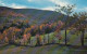 Fall Scene In The Catskill Mountains Near Windham Ngl #D2003 - Sonstige & Ohne Zuordnung