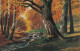 Herbst Im Walde Ngl #D2722 - Ohne Zuordnung
