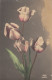 Tulpen-Gruss Gl1935 #D3584 - Sonstige & Ohne Zuordnung