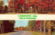 R529146 Autumn. Trees. Road. Park. CK. 417. Curteichcolor. 1974. Multi View - World