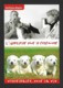 CPM.   Vétérinaire, Pour La Vie.   Chiens.   Animaux.   Métier.   Postcard. - Otros & Sin Clasificación