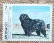 Monaco - YT N°1872 - Exposition Canine Internationale - 1993 - Neuf - Neufs