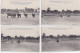 LONGCHAMPS(nantes) : Arenes, Courses De Juillet 1906, Loreto Jeune, Dans Une Largue De Manteau 10 CPA - Tres Bon Etat - Nantes